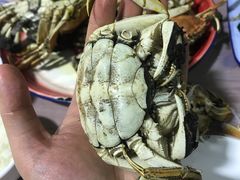 -蟹道河蟹大米商行