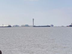 -上海滨江森林公园