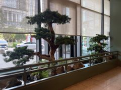 -潮上潮(南中环店)