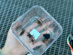 -银沙滩浴场