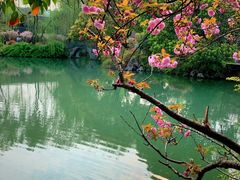 -乌镇景区