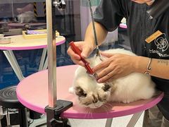 -FAELING PETS美天灵宠物(富力广场店)
