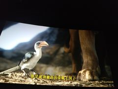 -AMG海上明珠影城(上海环球港RealDCinema店)