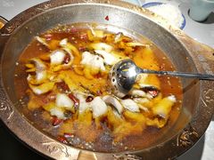 -雲蜀龙阁·金牌水煮鱼(方庄店)