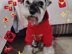 -PETKIT小佩宠物·低压洗护(国顺东路店)