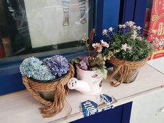 -milkplus·泰式奶茶(较场东路店)