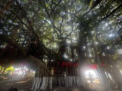 -胡里山炮台