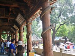 -晋祠公园