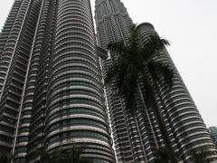 -罗汉果龙眼冰糖燉冬瓜