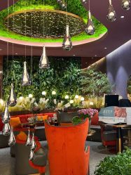 -花隐·美芙炫海菲秀皮肤管理中心