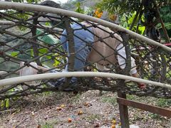 -李小龙乐园(顺德均安店)