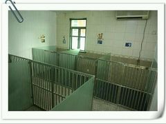 -鑫艺宠物美容培训学校