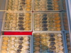 全家福饺子-小平岛開海水饺(浑南店)