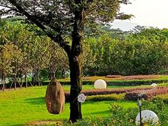 -福建鲤鱼洲酒店