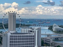 -新加坡瑞士史丹福酒店