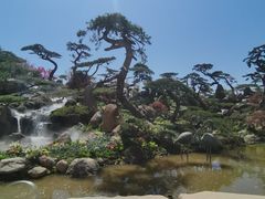 -罗红摄影艺术馆