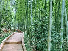 -蜀南竹海景区