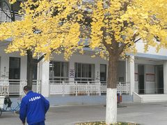 -金陵中学(河西分校)