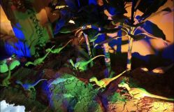 -恐龙探索乐园(磁器口店)