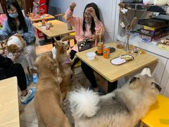 -汪说·狗咖(旺城大厦店)