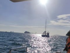 -小猫钓鱼海钓俱乐部(椰梦长廊店)