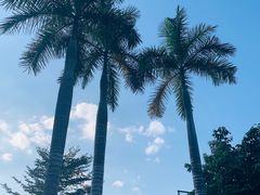 -李宁体育园