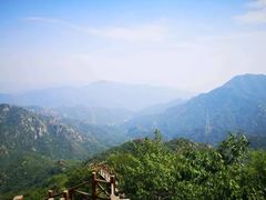 -大岭沟猕猴桃谷风景区