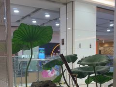 -新辣道鱼火锅(上地华联店)