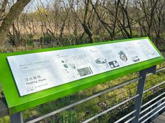 -西湖风景区-江洋畈生态公园