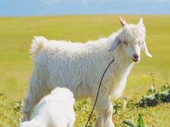 -小八仙·宴(三峡茶庄店)