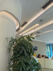 -广州紫馨整形外科医院
