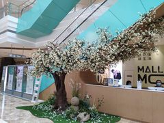 -大族广场Mall&More