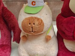 -川娃子(万塘汇店)