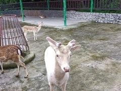 -贵州森林野生动物园