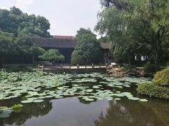 -秋霞圃