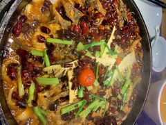 -老板恋上鱼(恒隆广场店)