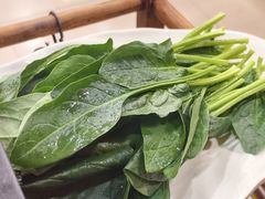 -芦月轩羊蝎子(北蜂窝店)