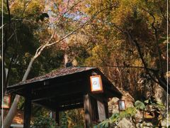 -嘉和K6温泉微度假