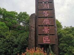 -东湖落雁景区