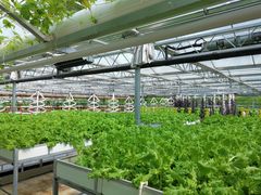 -兴芮温泉度假区