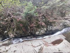 -太湖源风景区