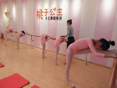 -桃子公主舞蹈培训(万柳校区)
