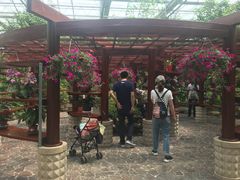 -南通洲际绿博园