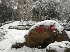 -武汉大学-樱园