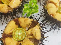 -鲜得莱渔港·小平岛海胆馆(七贤岭店)