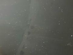 -三水森林公园