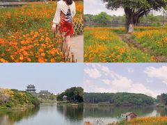 -金成潮菜博物馆(海珠湿地店)