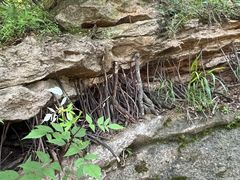 -终南山南五台景区