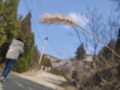 -青龙山公园