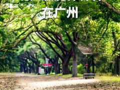 -广州莲花山旅游区